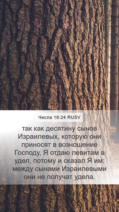 Числа 18:24 RUSV Bible Verse Image