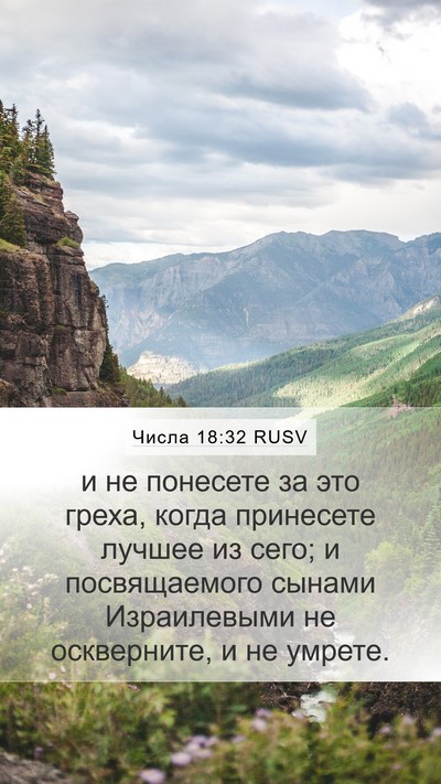 Числа 18:32 RUSV Mobile Phone Wallpaper - и не понесете за это греха, - Mobile Bible Verse Wallpaper