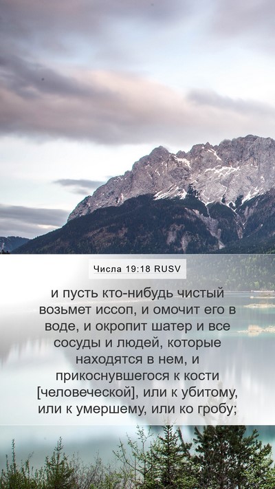 Числа 19:18 RUSV Bible Verse Image
