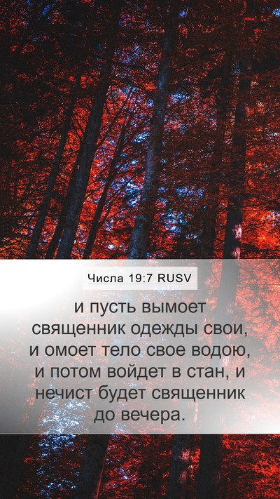 Числа 19:7 RUSV Bible Verse Image