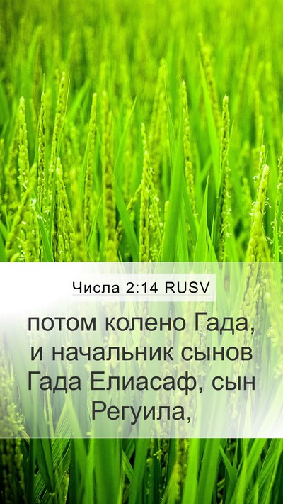 Числа 2:14 RUSV Bible Verse Image
