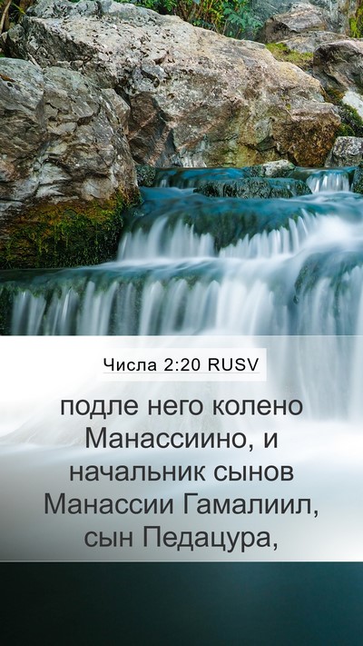 Числа 2:20 RUSV Bible Verse Image