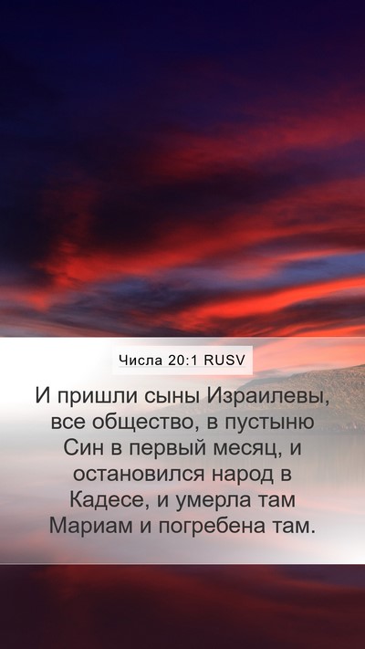 Числа 20:1 RUSV Bible Verse Image