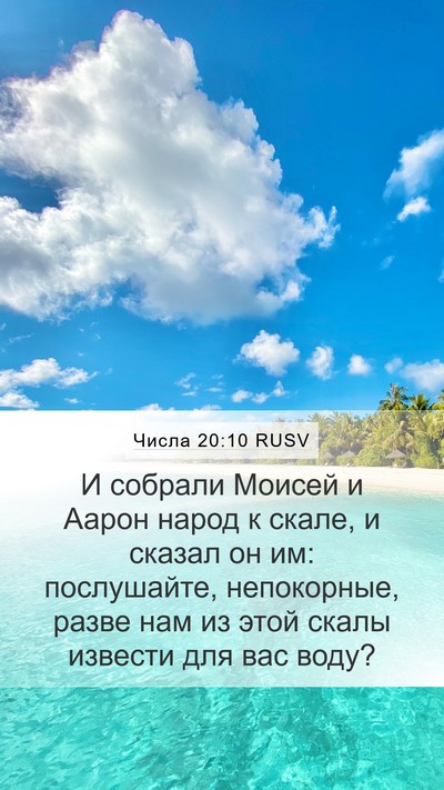Числа 20:10 RUSV Bible Verse Image