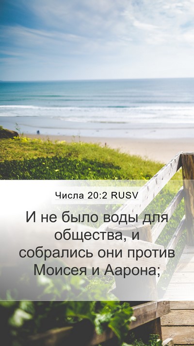 Числа 20:2 RUSV Bible Verse Image