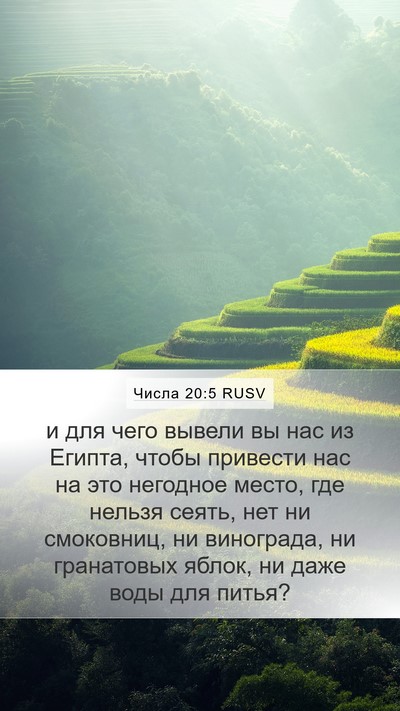Числа 20:5 RUSV Bible Verse Image