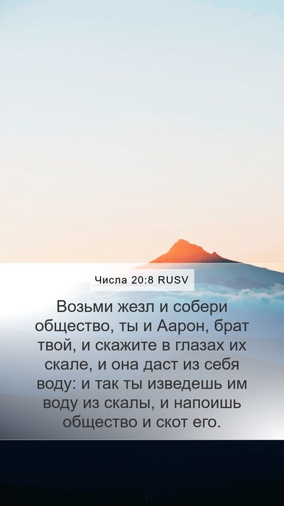 Числа 20:8 RUSV Bible Verse Image