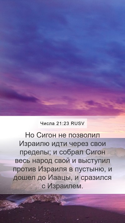 Числа 21:23 RUSV Bible Verse Image