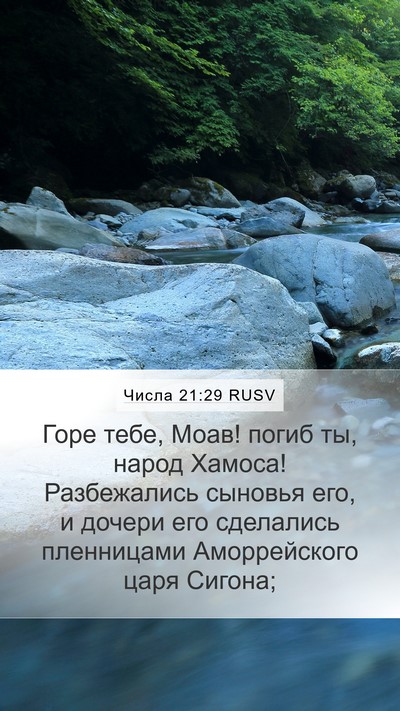 Числа 21:29 RUSV Bible Verse Image