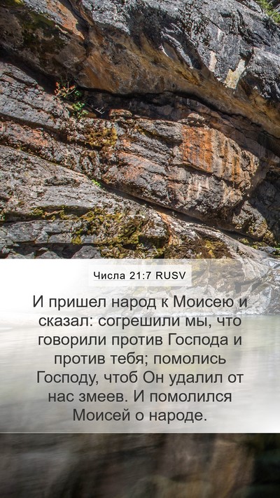 Числа 21:7 RUSV Bible Verse Image