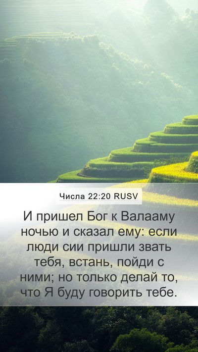 Числа 22:20 RUSV Bible Verse Image
