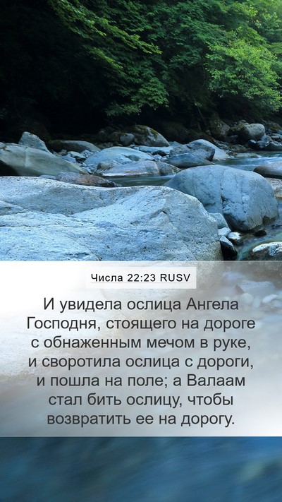 Числа 22:23 RUSV Bible Verse Image