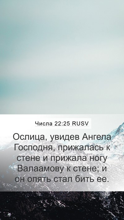Числа 22:25 RUSV Mobile Phone Wallpaper - Ослица, увидев Ангела - Mobile Bible Verse Wallpaper