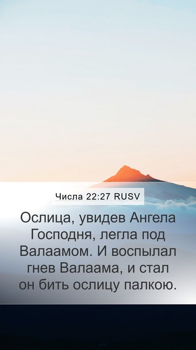 Числа 22:27 RUSV Mobile Phone Wallpaper - Ослица, увидев Ангела - Mobile Bible Verse Wallpaper