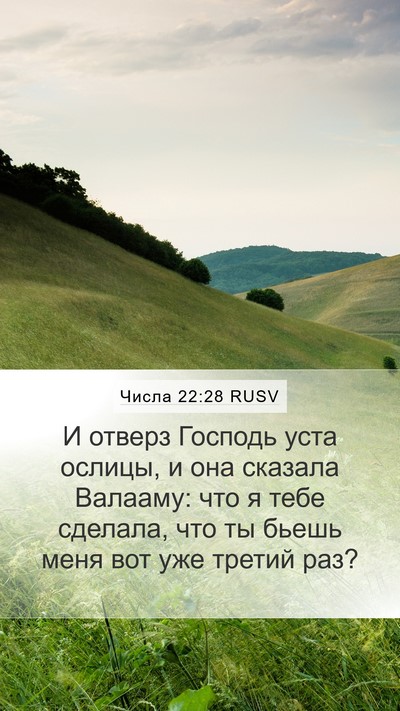 Числа 22:28 RUSV Bible Verse Image