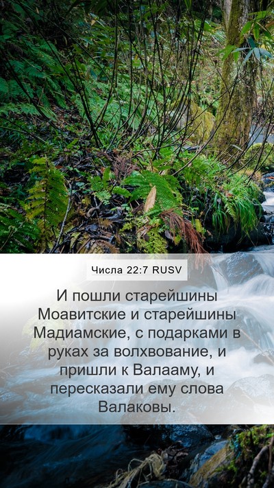 Числа 22:7 RUSV Mobile Phone Wallpaper - И пошли старейшины - Mobile Bible Verse Wallpaper