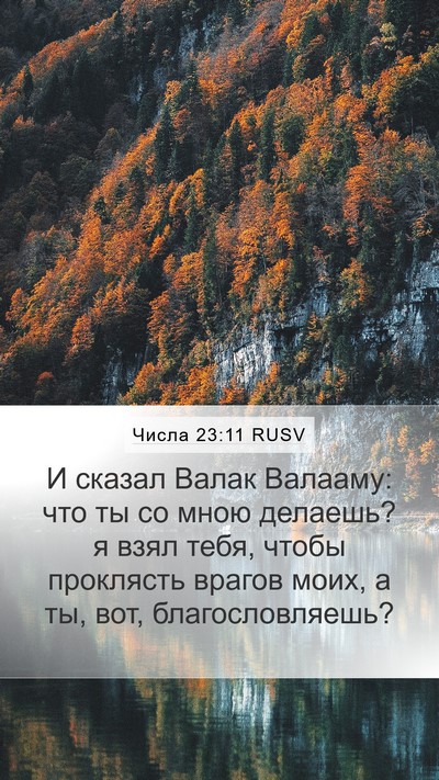 Числа 23:11 RUSV Bible Verse Image