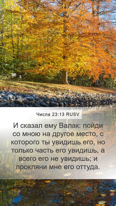 Числа 23:13 RUSV Mobile Phone Wallpaper - И сказал ему Валак: пойди - Mobile Bible Verse Wallpaper