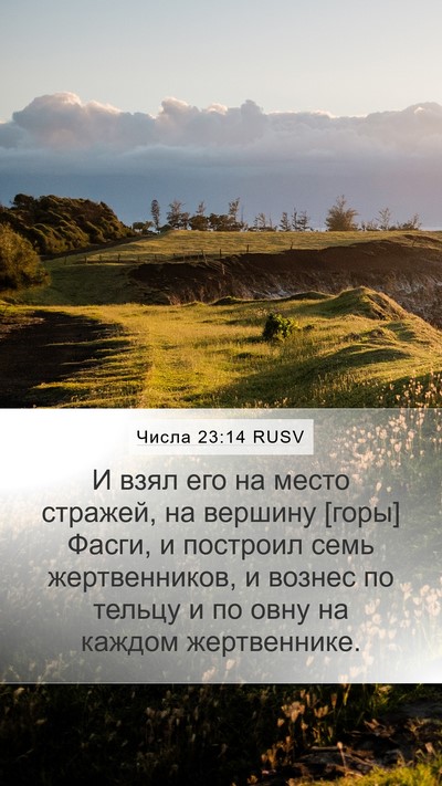 Числа 23:14 RUSV Bible Verse Image