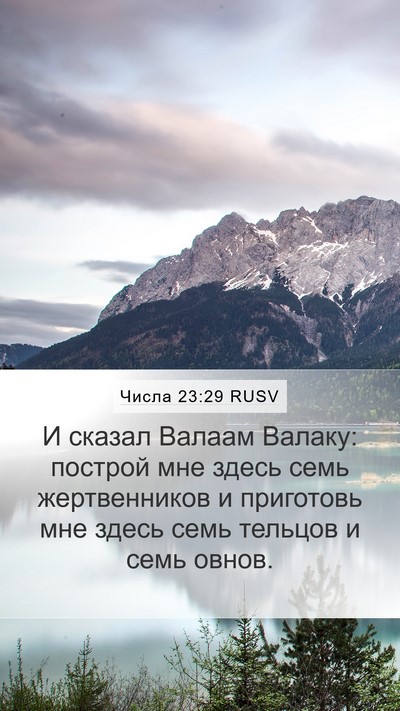 Числа 23:29 RUSV Bible Verse Image