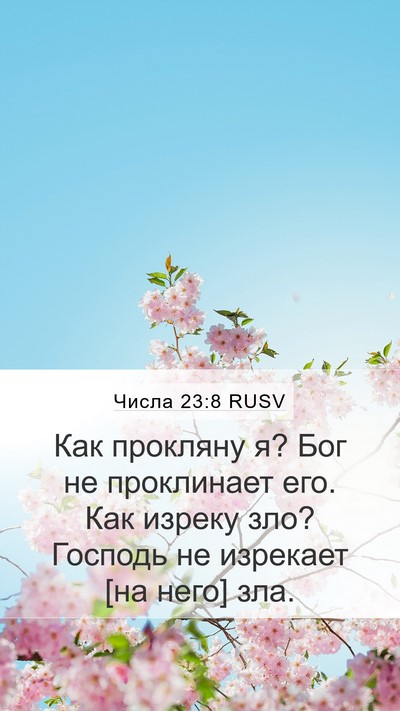Числа 23:8 RUSV Mobile Phone Wallpaper - Как прокляну я? Бог не - Mobile Bible Verse Wallpaper