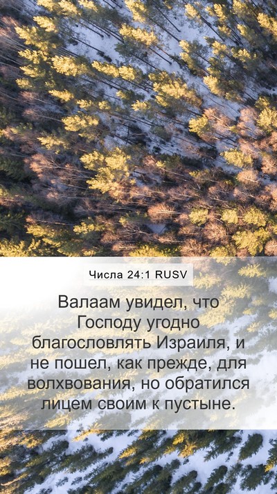 Числа 24:1 RUSV Bible Verse Image
