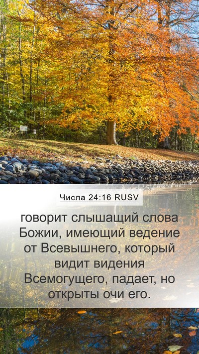 Числа 24:16 RUSV Bible Verse Image