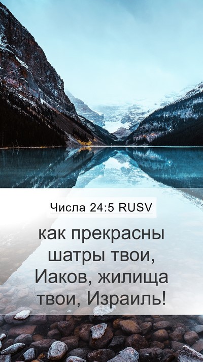 Числа 24:5 RUSV Bible Verse Image