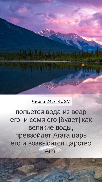 Числа 24:7 RUSV Bible Verse Image