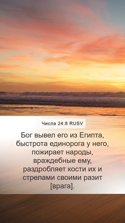 Числа 24:8 RUSV Bible Verse Image