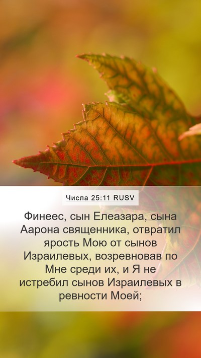 Числа 25:11 RUSV Bible Verse Image