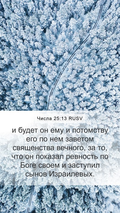 Числа 25:13 RUSV Bible Verse Image