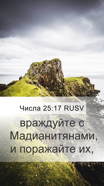 Числа 25:17 RUSV Mobile Phone Wallpaper - враждуйте с Мадианитянами, - Mobile Bible Verse Wallpaper