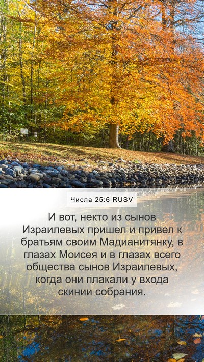 Числа 25:6 RUSV Bible Verse Image