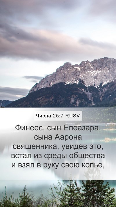 Числа 25:7 RUSV Bible Verse Image