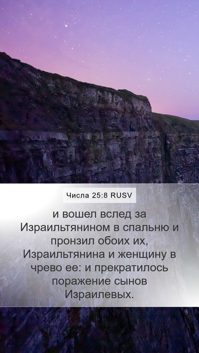 Числа 25:8 RUSV Bible Verse Image