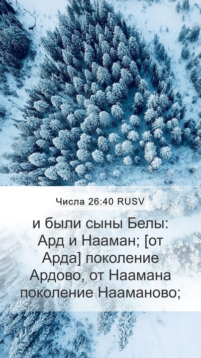Числа 26:40 RUSV Mobile Phone Wallpaper - и были сыны Белы: Ард и - Mobile Bible Verse Wallpaper