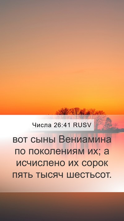 Числа 26:41 RUSV Bible Verse Image