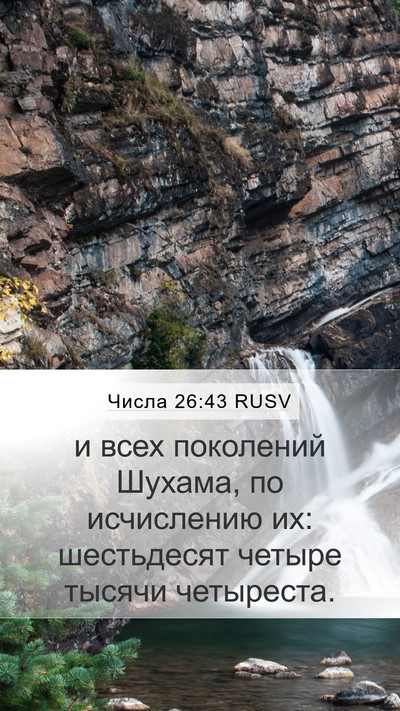 Числа 26:43 RUSV Bible Verse Image