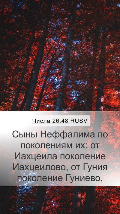 Числа 26:48 RUSV Bible Verse Image