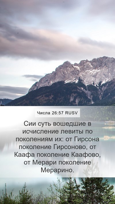 Числа 26:57 RUSV Bible Verse Image