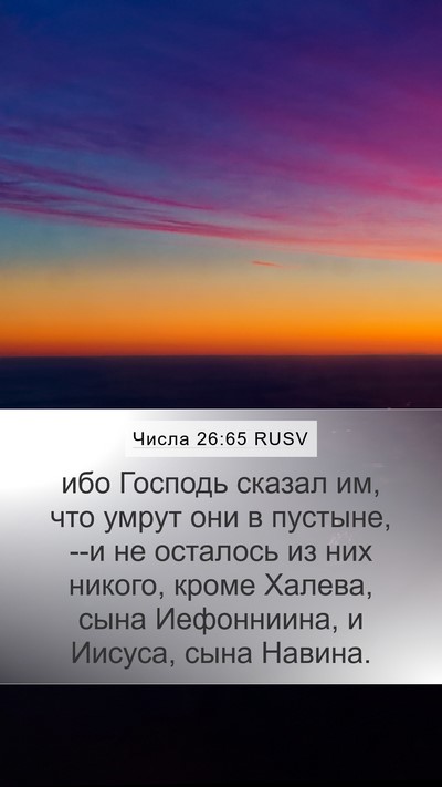Числа 26:65 RUSV Bible Verse Image