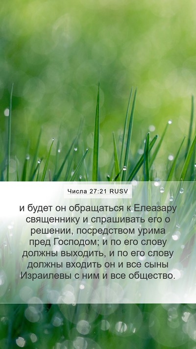 Числа 27:21 RUSV Bible Verse Image