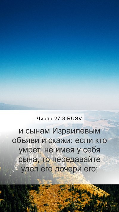Числа 27:8 RUSV Mobile Phone Wallpaper - и сынам Израилевым объяви - Mobile Bible Verse Wallpaper