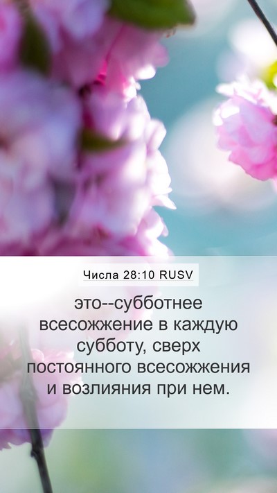 Числа 28:10 RUSV Mobile Phone Wallpaper - это--субботнее всесожжение - Mobile Bible Verse Wallpaper