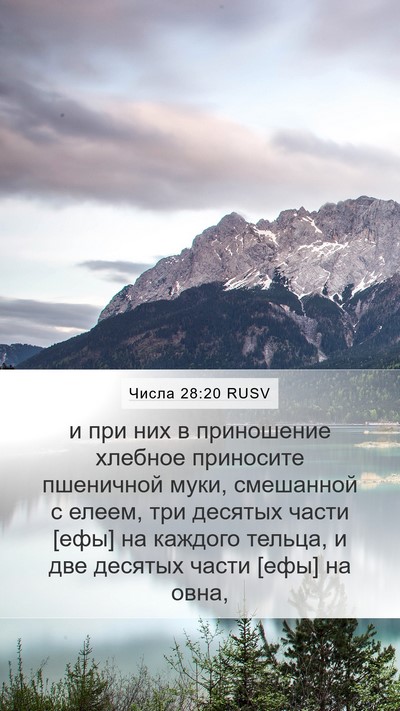 Числа 28:20 RUSV Mobile Phone Wallpaper - и при них в приношение - Mobile Bible Verse Wallpaper