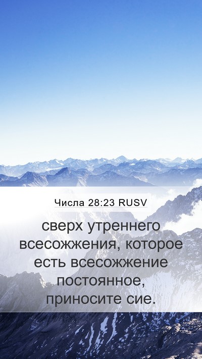 Числа 28:23 RUSV Bible Verse Image