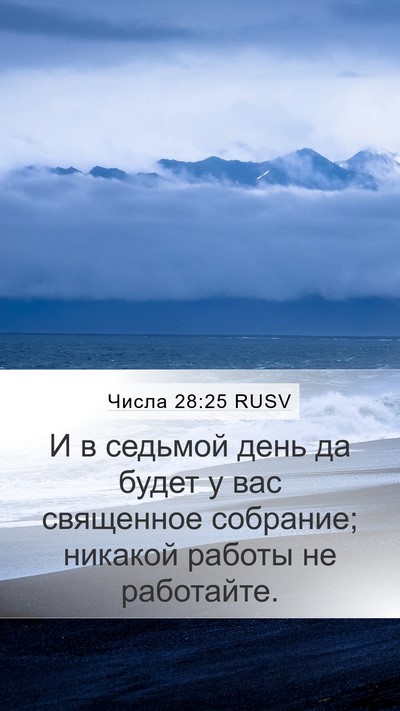 Числа 28:25 RUSV Bible Verse Image