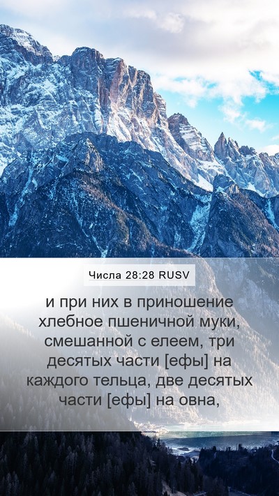 Числа 28:28 RUSV Bible Verse Image