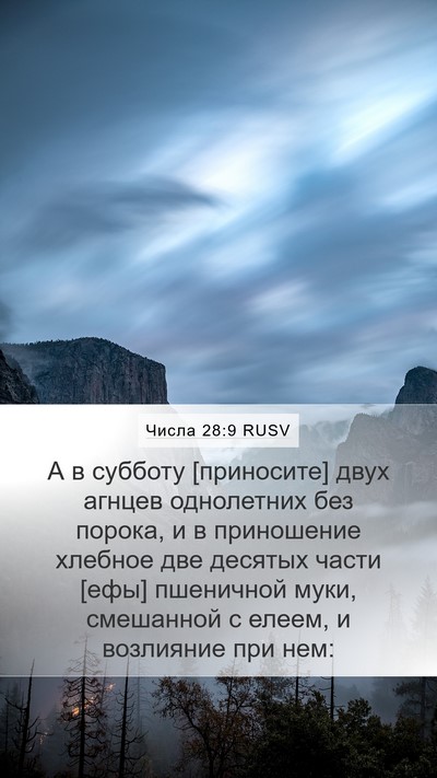 Числа 28:9 RUSV Bible Verse Image